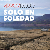 Pulsar para ms informacin sobre 'Solo en Soledad'