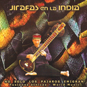 Pulsar para más información sobre 'No solo los pájaros emigran'