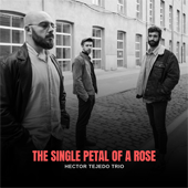Pulsar para m?s informaci?n sobre 'The single petal of a rose'