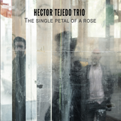 Pulsar para ms informacin sobre 'The single petal of a rose'