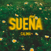 Pulsar para ms informacin sobre 'Suea'