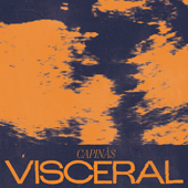 Pulsar para ms informacin sobre 'Visceral'